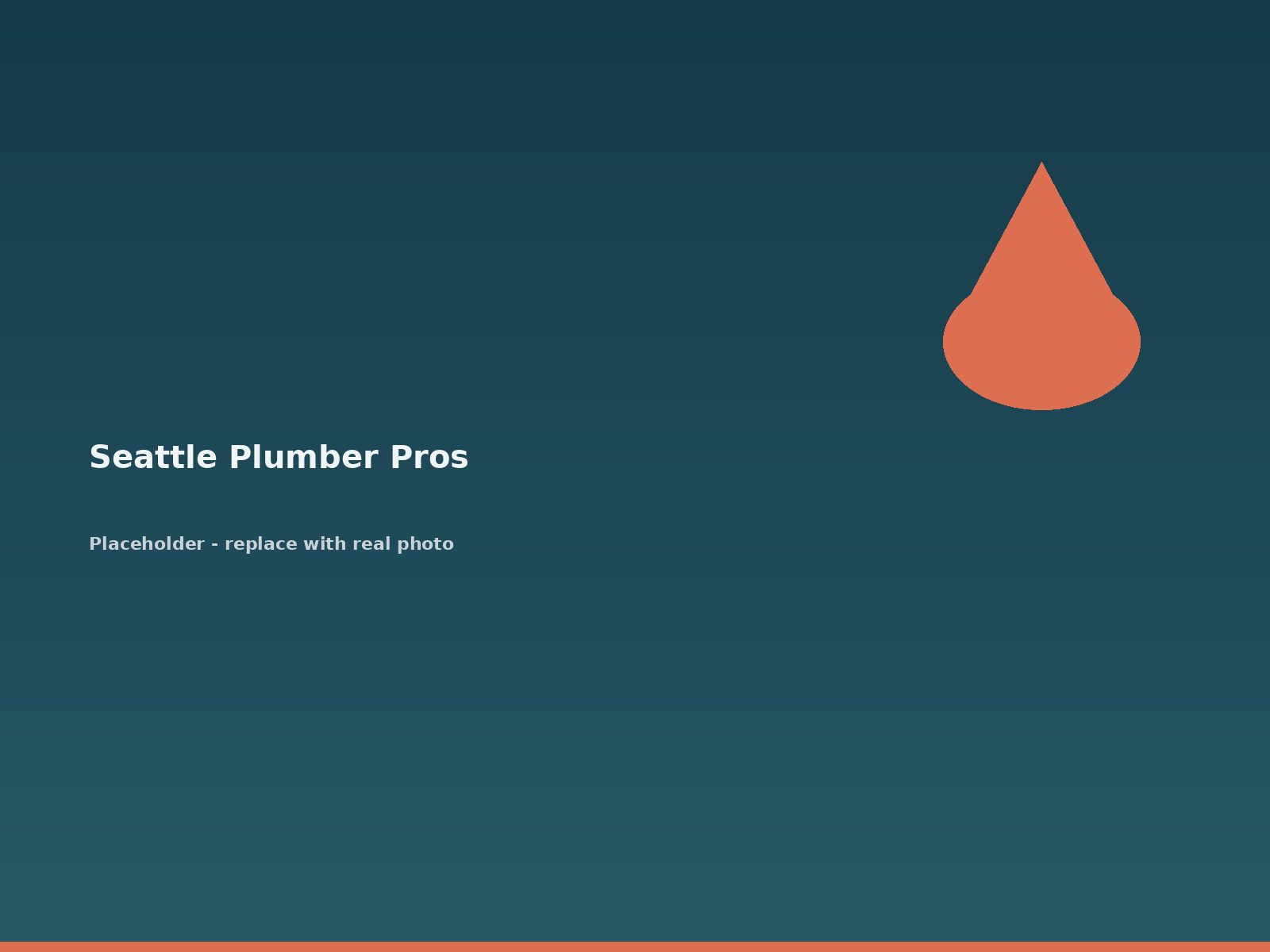 Seattle Plumber Pros branded service van parked outside a Seattle home